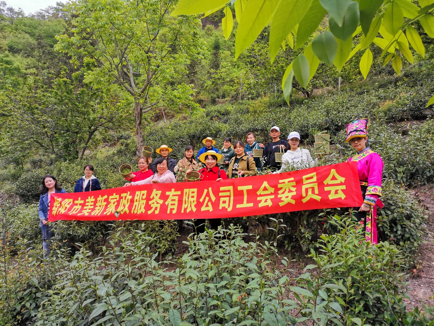 &#24320;&#20113;&#32593;&#39029;&#29256;&#95;&#24320;&#20113;&#40;&#20013;&#22269;&#41;&#23448;&#26041;